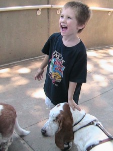 IMG_7632 IMG_7632