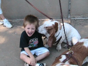 IMG_7633 IMG_7633