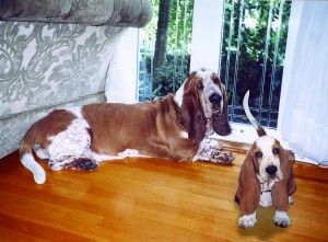 Chaps&Emma_2