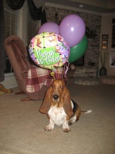 Colby B-Day