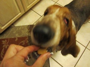 IMG_1408