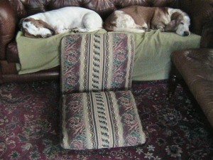 IMG_8276.JPG