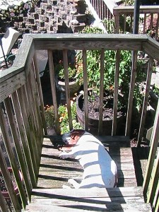 IMG_9198