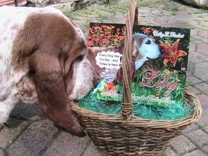 IMG_1336 IMG_1336