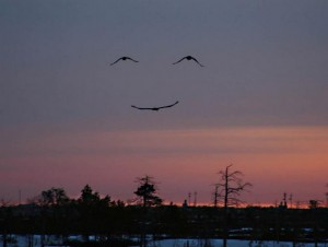 SkySmiling