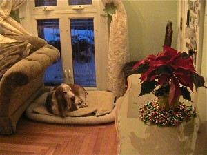 IMG_1151