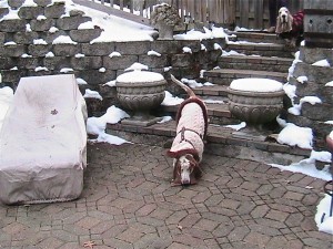 IMG_1728