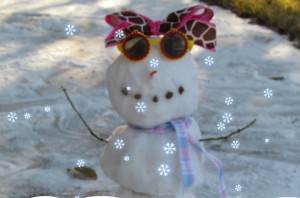 TXSnowgirl2011
