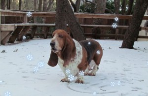 colbychapssnowman