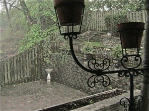 IMG_2763