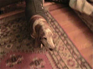 IMG_2769