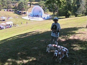 IMG_4137