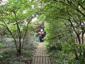 IMG_4265