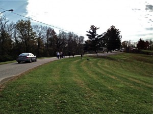 BHTWalkpark
