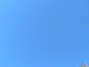 IMG_4379