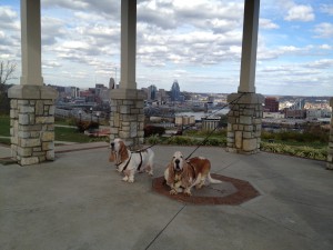 ChapsEmmaDPark5