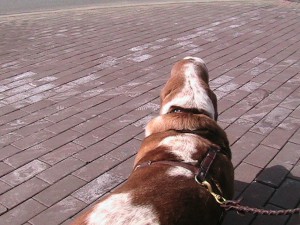 IMG_4028