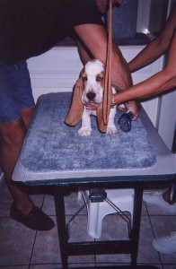 baby emma stacking
