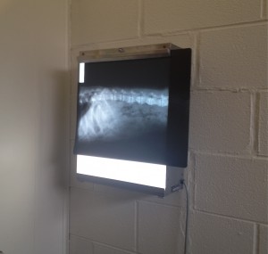 photo 2_3