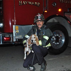 Hayward Hero saves hound