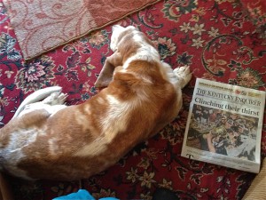 Chapssunpaper