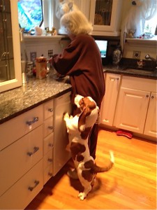 Hurry Grandma, I want my treat!  