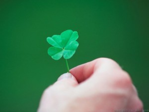 four-leaf-clover