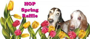 2013 spring raffle banner