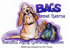 bagslogo
