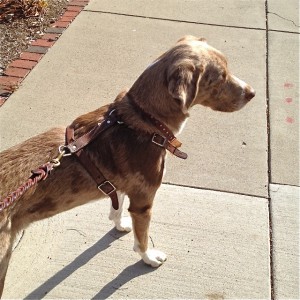 Benson1