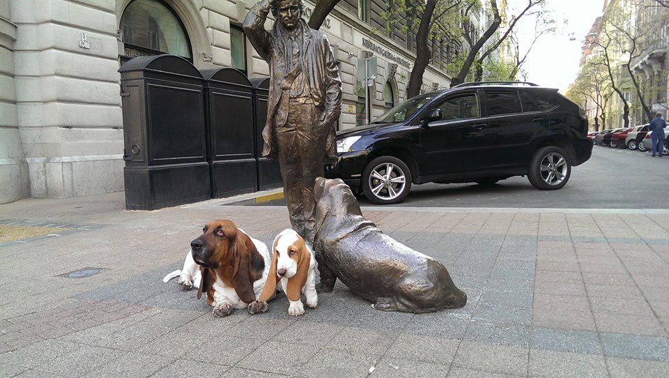 famous basset hounds on tv