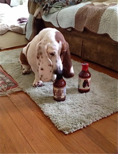 DogDays