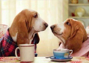 coffeehounds
