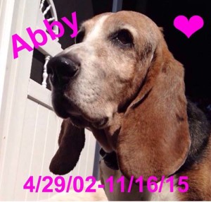 Abbygirl