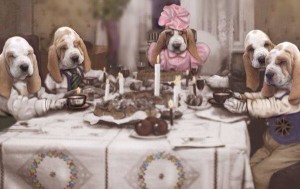 TGBassethoundtown.com