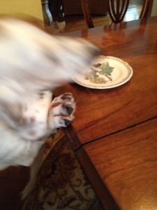 DLScone3