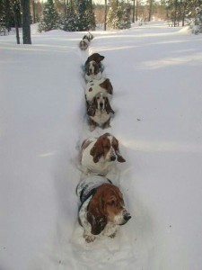 Iswinteroveryet?