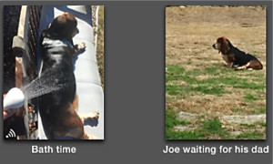 Joe4
