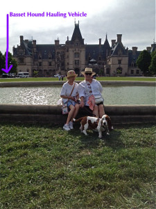 BHHVBiltmore