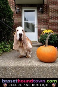 Chaps1stdayofall12-3