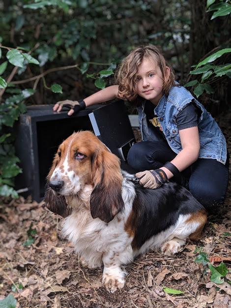 famous basset hounds on tv